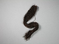 假髮藏品圖，第1張