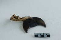 摘禾刀藏品圖，第2張