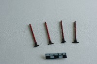 蠟刀藏品圖，第1張