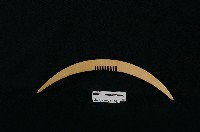 木梳藏品圖，第1張