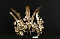頭花藏品圖，第2張