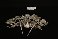 頭花藏品圖，第2張