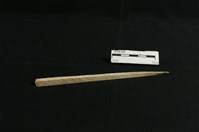 髮釵藏品圖，第1張