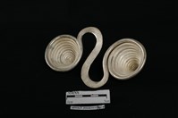 背扣藏品圖，第2張