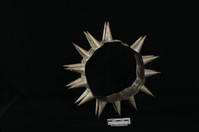 頭花藏品圖，第2張