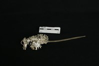 頭花藏品圖，第2張