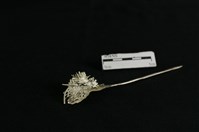 頭花藏品圖，第2張