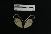 耳環藏品圖，第2張