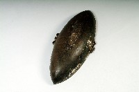 木盆藏品圖，第2張