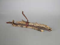 荊棘藏品圖，第1張