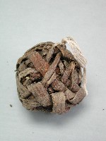 藤球藏品圖，第2張