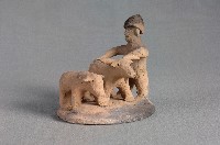 動物組合藏品圖，第2張