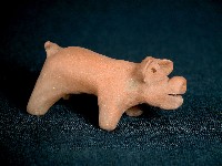 小豬藏品圖，第1張