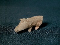 小豬藏品圖，第2張