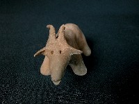 小羊藏品圖，第3張