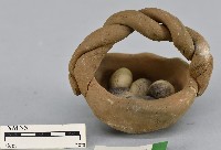 鳥蛋藏品圖，第1張