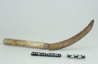 鐮刀藏品圖，第2張