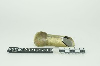 蒔田管藏品圖，第1張