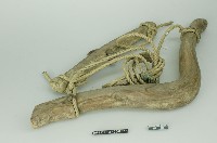 牛軛藏品圖，第2張