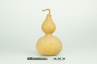 瓢杓藏品圖，第1張