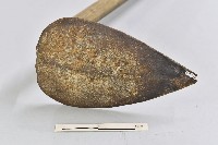 手耙藏品圖，第2張