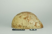 瓜瓢藏品圖，第1張