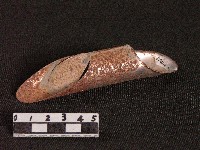 蒔田管藏品圖，第1張