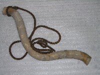 牛軛藏品圖，第1張