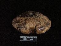 神靈石藏品圖，第2張