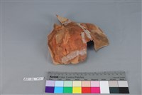 連杯形器藏品圖，第1張