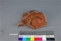 連杯形器藏品圖，第3張