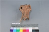 連杯形器藏品圖，第1張