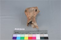 連杯形器藏品圖，第2張