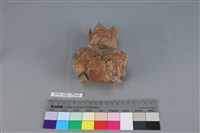 連杯形器藏品圖，第3張