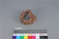 連杯形器藏品圖，第1張