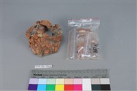 連杯形器藏品圖，第2張