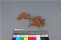 連杯形器藏品圖，第3張