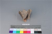 連杯形器藏品圖，第1張