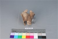 連杯形器藏品圖，第2張