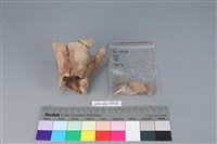 連杯形器藏品圖，第4張