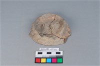 豆形器藏品圖，第2張