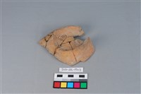 豆形器藏品圖，第2張