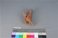 連杯形器藏品圖，第1張