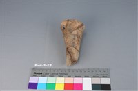 連杯形器藏品圖，第2張