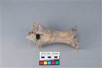 連杯形器藏品圖，第3張