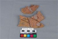 連杯形器藏品圖，第2張