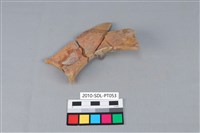 連杯形器藏品圖，第3張