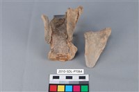 連杯形器藏品圖，第2張