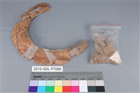 陶罐藏品圖，第3張