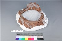 陶罐藏品圖，第1張